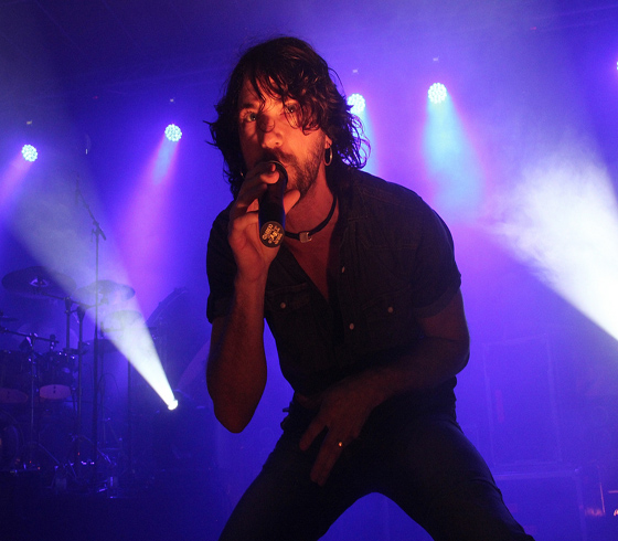Pain Of Salvation , 2011